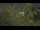 Webcam in Toulon, 1 mi away