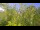 Webcam in Toulon, 13.7 km entfernt