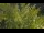 Webcam in Tolone, 14.1 km