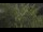 Webcam in Tolone, 0.9 km