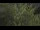 Webcam in Tolone, 2.6 km