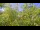 Webcam in Toulon, 2.6 km entfernt
