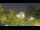 Webcam in Toulon, 10.2 km