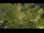 Webcam in Toulon, 7.3 mi away