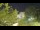 Webcam in Toulon, 8.9 km