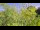 Webcam in Toulon, 0.2 mi away