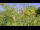 Webcam in Toulon, 0.6 km