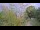 Webcam in Toulon, 16.4 km
