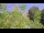 Webcam in Tolone, 10.2 km