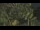 Webcam in Toulon, 7.3 mi away
