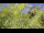 Webcam in Toulon, 7.3 mi away