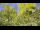 Webcam in Toulon, 3.2 mi away