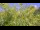 Webcam in Tolone, 0.6 km