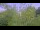 Webcam in Toulon, 7.3 mi away