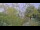 Webcam in Tolone, 13 km