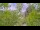 Webcam in Toulon, 14.1 km entfernt