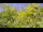 Webcam in Toulon, 8.3 km