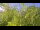 Webcam in Toulon, 0.3 mi away