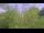 Webcam in Toulon, 7.3 mi away