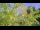 Webcam in Toulon, 8.3 km
