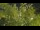 Webcam in Toulon, 3.2 mi away