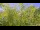 Webcam in Toulon, 7.3 mi away