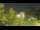 Webcam in Toulon, 0.9 mi away