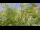 Webcam in Toulon, 18.8 km