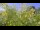 Webcam in Toulon, 18.8 km