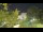 Webcam in Tolone, 8.9 km