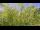 Webcam in Toulon, 7.3 mi away