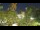 Webcam in Toulon, 0.6 km