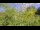 Webcam in Toulon, 0.2 mi away