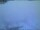 Webcam on mount Schneeberg, 11.6 mi away