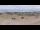 Webcam in Donville-les-Bains, 1.1 km entfernt