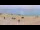 Webcam in Donville-les-Bains, 22.6 km entfernt