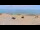 Webcam in Donville-les-Bains, 9.4 mi away
