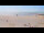Webcam in Saint-Pair-Sur-Mer, 7.4 mi away