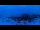 Webcam in Vars, 15.8 km