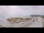 Webcam in Loctudy, 6.1 km entfernt