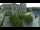 Webcam in Quimper, 0.1 km