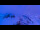 Webcam in Chamonix-Mont-Blanc, 1.9 mi away