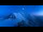 Webcam in Chamonix-Mont-Blanc, 5 mi away