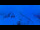 Webcam in Chamonix-Mont-Blanc, 5 mi away