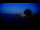 Webcam in Toulon, 6.4 mi away