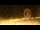 Webcam in Saint-Jean-de-Monts, 8.3 km