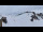 Webcam in Courchevel, 8.7 km
