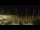 Webcam in Notre-Dame-de-Monts, 1.1 km