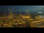 Webcam in Mandelieu-la-Napoule, 5.6 km entfernt