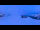 Webcam in Serre Chevalier, 1 mi away